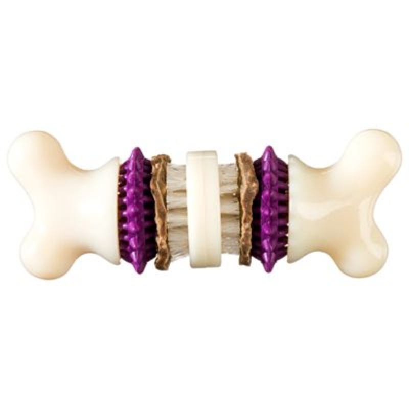 PetSafe Busy Buddy Bristle Bone, Large