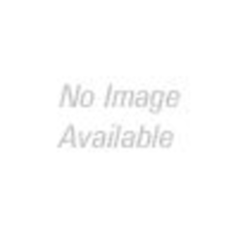 PetSafe Busy Buddy Bristle Bone, Small