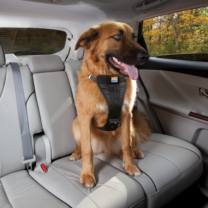 Kurgi Small Enhanced Tryue Fir Harness Seat Tether Black