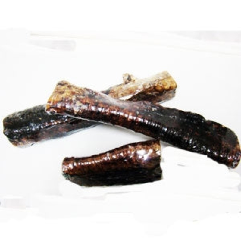 MM01051 Whistlers Bone 12 in. 10 Display