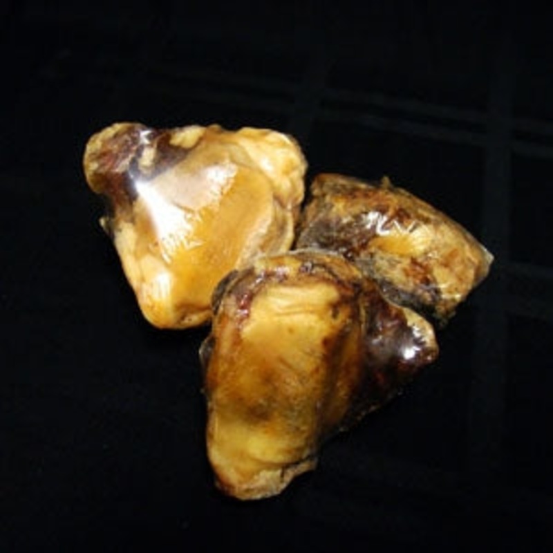 MM01062 Knee Cap 24 Display