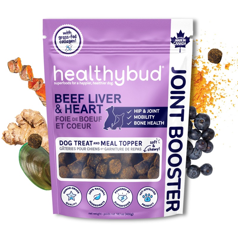 Healthybud 14.1oz Beef Joint Booster Dog Treats